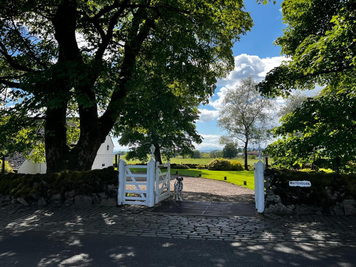 Whitehouse Bed and Breakfast Uplawmoor Εξωτερικό φωτογραφία